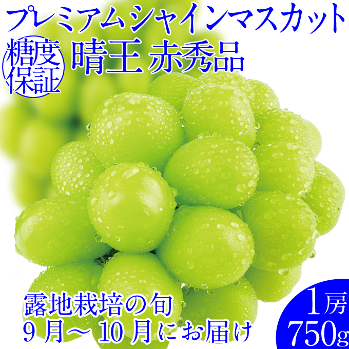 2025年予約受付中  プレミアムシャインマスカット晴王 1房約750g 人気 岡山県産 赤秀品  種無し 皮ごと食べる みずみずしい フレッシュ 晴れの国 おかやま 果物大国  ハレノフルーツ