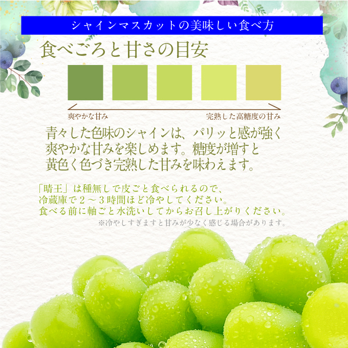 2025年予約受付中  プレミアムシャインマスカット晴王 1房約750g 人気 岡山県産 赤秀品  種無し 皮ごと食べる みずみずしい フレッシュ 晴れの国 おかやま 果物大国  ハレノフルーツ