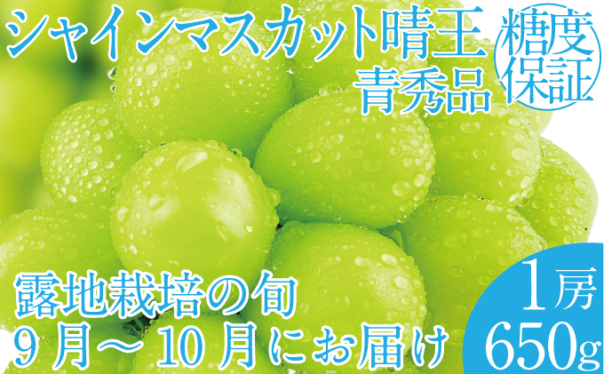 2025年 先行予約受付中 シャインマスカット晴王1房 約650g 岡山県産 種無し 皮ごと食べる みずみずしい 甘い フレッシュ 瀬戸内 晴れの国 おかやま 果物大国 ハレノフルーツ