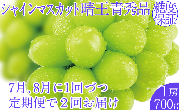 2025年予約受付中【2回定期便】シャインマスカット晴王1房 約700g 7月8月に出荷  人気 岡山県産 種無し 皮ごと食べる みずみずしい  フレッシュ 晴れの国 おかやま 果物大国 ハレノフルーツ