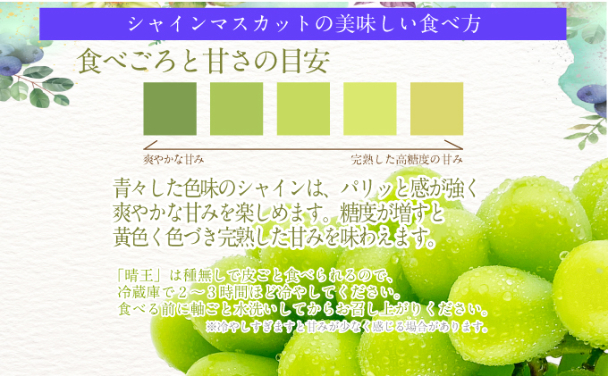 2025年予約受付中【2回定期便】シャインマスカット晴王 2房 約1.2kg 7月8月に出荷 人気 岡山県産 種無し 皮ごと食べる みずみずしい   おかやま 果物大国 ハレノフルーツ