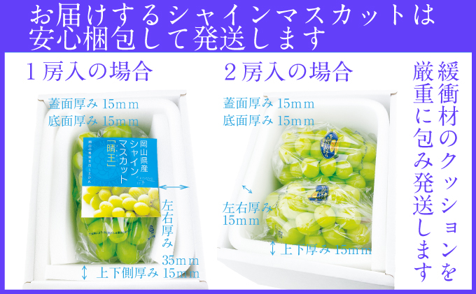 2025年予約受付中【2回定期便】シャインマスカット晴王 2房 約1.2kg 7月8月に出荷 人気 岡山県産 種無し 皮ごと食べる みずみずしい   おかやま 果物大国 ハレノフルーツ