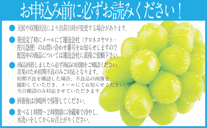 2026年 先行予約受付中 シャインマスカット晴王 約2kg(3～5房） 岡山県産 種無し 皮ごと食べる みずみずしい 甘い フレッシュ 瀬戸内 晴れの国 おかやま 果物大国 ハレノフルーツ