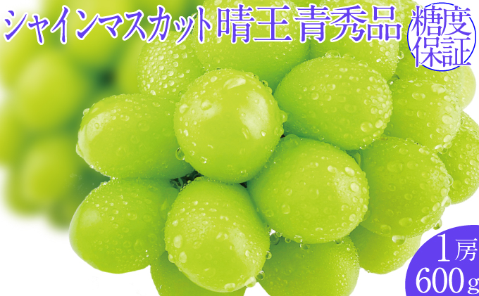2026年予約受付中 シャインマスカット晴王 1房 約600g  7月～8月出荷 人気 岡山県産 種無し 皮ごと食べる みずみずしい  フレッシュ 晴れの国 おかやま 果物大国 ハレノフルーツ