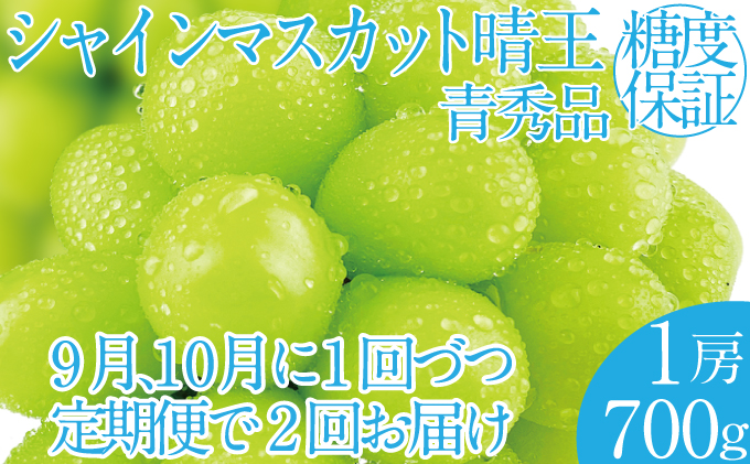 2025年 先行予約受付中【2回定期便】シャインマスカット晴王1房 約700g×2回 岡山県産 種無し 皮ごと食べる みずみずしい 甘い フレッシュ 瀬戸内 晴れの国 おかやま 果物大国 ハレノフルーツ