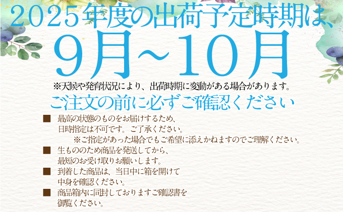 2025年 先行予約受付中【2回定期便】シャインマスカット晴王1房 約700g×2回 岡山県産 種無し 皮ごと食べる みずみずしい 甘い フレッシュ 瀬戸内 晴れの国 おかやま 果物大国 ハレノフルーツ