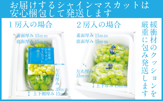 2026年 先行予約受付中【2回定期便】 シャインマスカット晴王 2房 約1.1kg 岡山県産 種無し 皮ごと食べる みずみずしい 甘い フレッシュ 瀬戸内 晴れの国 おかやま 果物大国 ハレノフルーツ