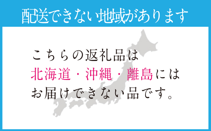 2025年 先行予約受付中【2回定期便】 シャインマスカット晴王 2房 約1.1kg 岡山県産 種無し 皮ごと食べる みずみずしい 甘い フレッシュ 瀬戸内 晴れの国 おかやま 果物大国 ハレノフルーツ