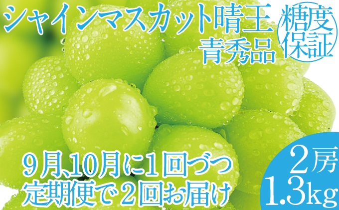 2025年 先行予約受付中【2回定期便】シャインマスカット晴王2房 約1.3kg 岡山県産 種無し 皮ごと食べる みずみずしい 甘い フレッシュ 瀬戸内 晴れの国 おかやま 果物大国 ハレノフルーツ