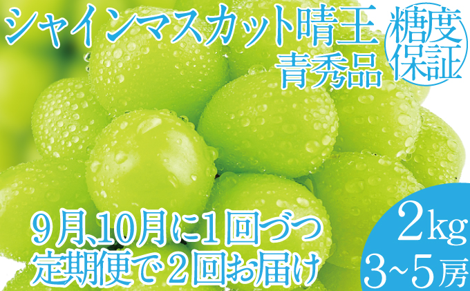 2025年 先行予約受付中【2回定期便】シャインマスカット晴王 約2k(3～5房) 岡山県産 種無し 皮ごと食べる みずみずしい 甘い フレッシュ 瀬戸内 晴れの国 おかやま 果物大国 ハレノフルーツ