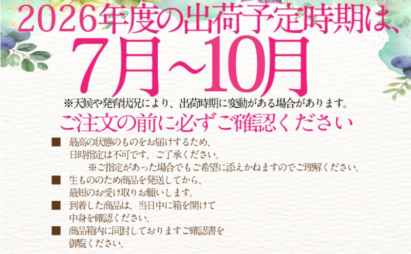 2026年予約受付中【4回定期便】 シャインマスカット 晴王 7月8月9月10月に1回づつ出荷  2房 約1.2kg  人気 岡山県産 種無し 皮ごと食べる みずみずしい  フレッシュ 晴れの国 おかやま 果物大国 ハレノフルーツ