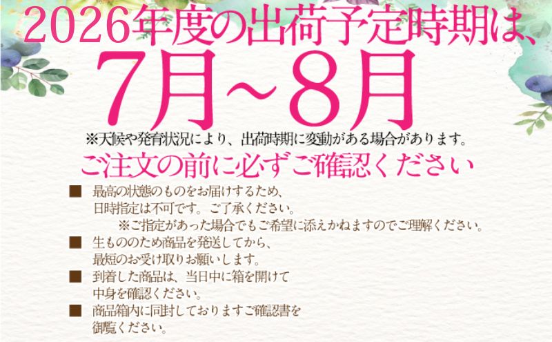 2026年予約受付中【2回定期便】シャインマスカット 晴王 7月8月に1回づつ出荷  1房 約600g  人気 岡山県産 種無し 皮ごと食べる みずみずしい  フレッシュ 晴れの国 おかやま 果物大国 ハレノフルーツ