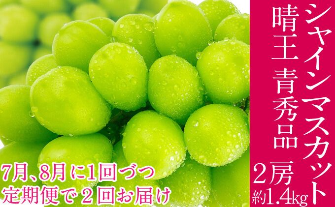 2026年予約受付中【2回定期便】 シャインマスカット 晴王 7月8月に1回づつ出荷 2房 約1.4kg  人気 岡山県産 種無し 皮ごと食べる みずみずしい  フレッシュ 晴れの国 おかやま 果物大国 ハレノフルーツ