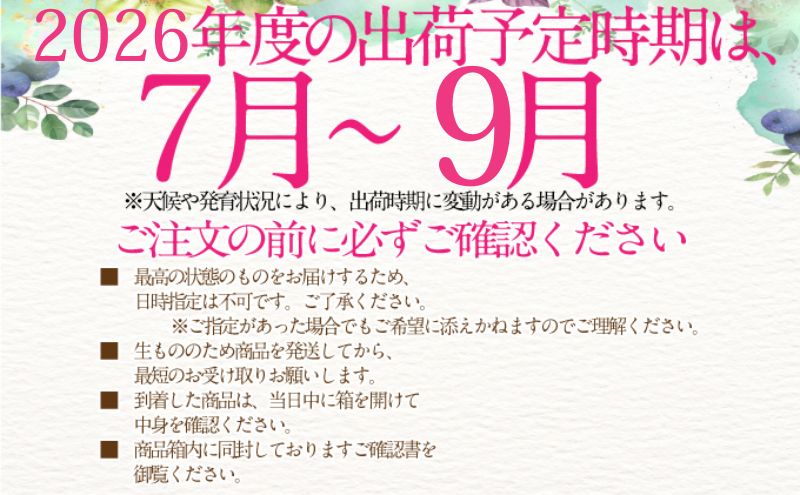 2026年予約受付中【3回定期便】 シャインマスカット 晴王 7月8月9月に1回づつ出荷  1房 約700g  人気 岡山県産 種無し 皮ごと食べる みずみずしい  フレッシュ 晴れの国 おかやま 果物大国 ハレノフルーツ