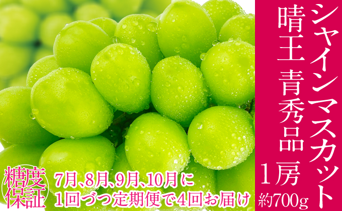 2026年予約受付中【4回定期便】 シャインマスカット 晴王 7月8月9月10月に1回づつ出荷   1房 約700g  人気 岡山県産 種無し 皮ごと食べる みずみずしい  フレッシュ 晴れの国 おかやま 果物大国 ハレノフルーツ