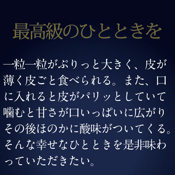 縺カ縺ゥ縺 2026蟷エ 蜈郁。御コ育エ 9譛医サ10譛育匱騾 鬮倡エ壼刀 繧キ繝」繧、繝ウ繝槭せ繧ォ繝繝 譎エ邇 2謌ソ 邏1.2kg 繝悶ラ繧ヲ 闡。關 蟯。螻ア逵檎肇 闊ケ遨ら肇 繝輔Ν繝シ繝 譫懃黄 繧ョ繝輔ヨ