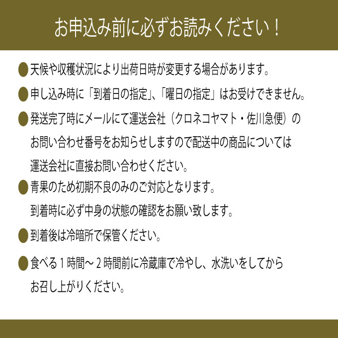 縺カ縺ゥ縺 2026蟷エ 蜈郁。御コ育エ 9譛医サ10譛育匱騾 鬮倡エ壼刀 繧キ繝」繧、繝ウ繝槭せ繧ォ繝繝 譎エ邇 2謌ソ 邏1.2kg 繝悶ラ繧ヲ 闡。關 蟯。螻ア逵檎肇 闊ケ遨ら肇 繝輔Ν繝シ繝 譫懃黄 繧ョ繝輔ヨ