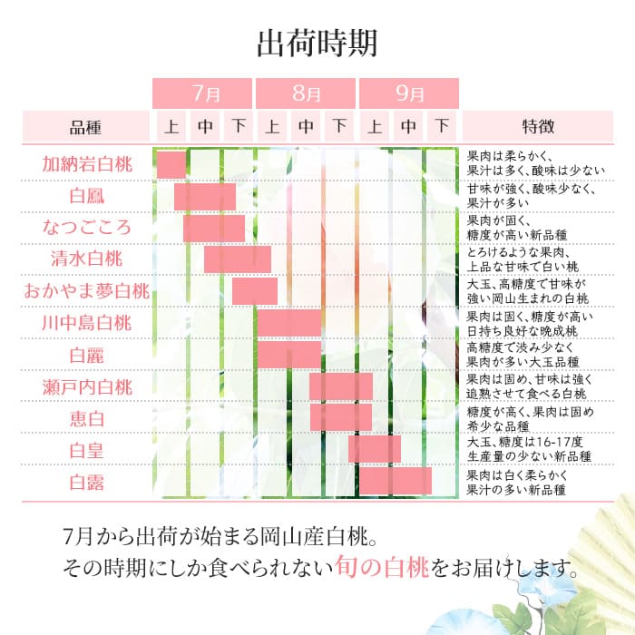 桃 2025年 先行予約 岡山 白桃 ロイヤル 約1.5kg 5～7玉入り もも モモ 岡山県産 国産 フルーツ 果物 ギフト 橋田商店