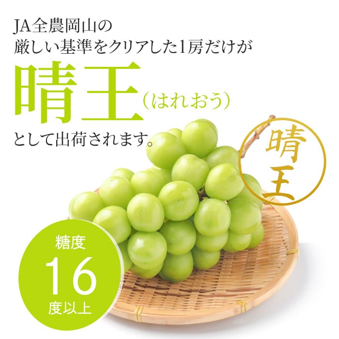 ぶどう 2025年 先行予約 シャイン マスカット 晴王 1房 約600g 大粒 種無し ブドウ 葡萄 岡山県産 国産 フルーツ 果物 ギフト 橋田商店