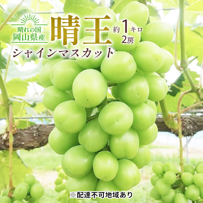 ぶどう 2025年 先行予約 シャイン マスカット 晴王 2房入り 合計約1kg 大粒 種無し ブドウ 葡萄 岡山県産 国産 フルーツ 果物 ギフト 橋田商店