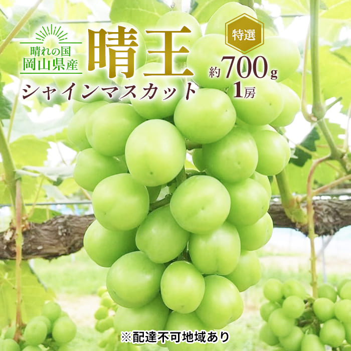 ぶどう 2025年 先行予約 シャイン マスカット 晴王 特選 1房 約700g 大粒 種無し ブドウ 葡萄 岡山県産 国産 フルーツ 果物 ギフト 橋田商店