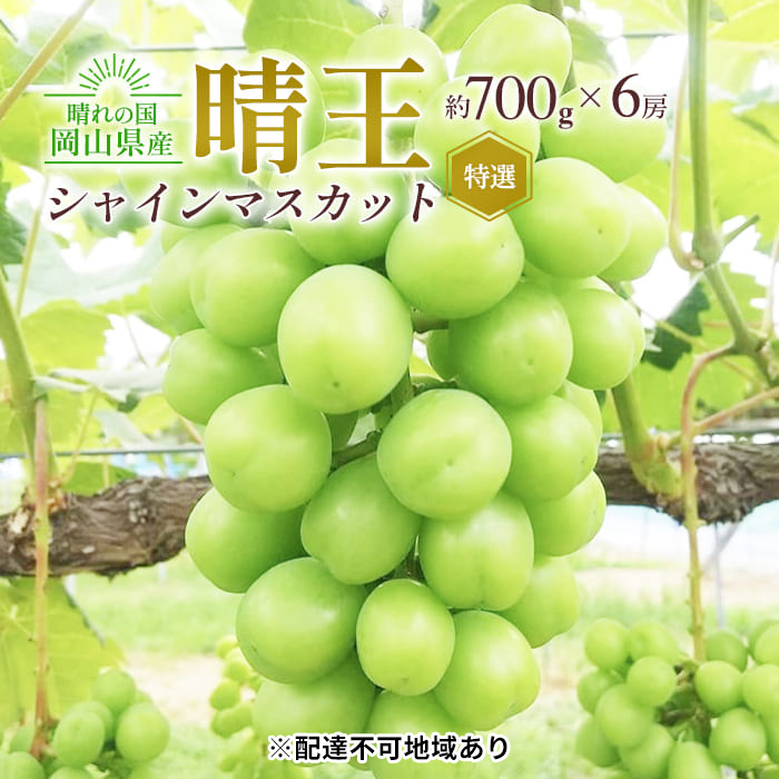 ぶどう 2025年 先行予約 シャイン マスカット 晴王 特選 6房（1房約700g）化粧箱入り 大粒 種無し ブドウ 葡萄 岡山県産 国産 フルーツ 果物 ギフト 橋田商店