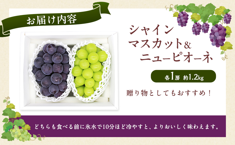ぶどう 2026年 先行予約 シャインマスカット ＆ ニューピオーネ 各1房 約1.2kg ブドウ 葡萄 岡山県産 国産 フルーツ 果物 直送！せとうちバスケット