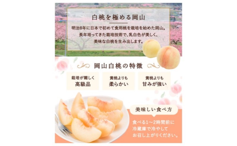 æ¡ 2026幎 å
è¡äºçŽ çœæ¡ 8ç(2kg以äž)ççŽïŒãã€ã€ã« åç²§ç®±å
¥ã ãã ã¢ã¢ 岡山çç£ åœç£ ãã«ãŒã æç© ã»ãã ã®ãã