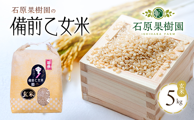 米 令和7年産 石原果樹園の備前乙女米 玄米 5kg×1袋 ※11月上旬～順次発送予定 お米 ライス  乳酸菌栽培 岡山県 おにぎり お弁当