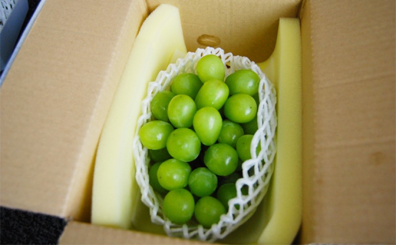 ぶどう 2026年先行予約 シャインマスカット 1房 約600g  岡山県産 お届け 9月上旬～10月中旬