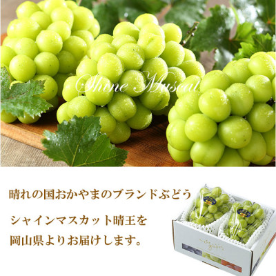 【2025年7月上旬より発送】岡山県産 シャインマスカット 晴王 500g×2房 ぶどう 葡萄 ブドウ フルーツ 果物