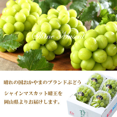 ã2026幎7æäžæ¬ããçºéã岡山çç£ ã·ã£ã€ã³ãã¹ã«ãã æŽç 2kg(3æ¿ïœ6æ¿) ã¶ã©ã è¡è ãã㊠ãã«ãŒã æç©