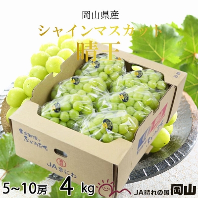 【2026年7月上旬より発送】岡山県産 シャインマスカット 晴王 4kg(5房～10房) ぶどう 葡萄 ブドウ フルーツ 果物