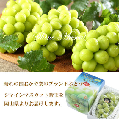 【2026年8月下旬より発送】岡山県産 シャインマスカット 晴王 700g×1房 ぶどう 葡萄 ブドウ フルーツ 果物