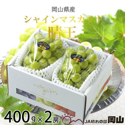 【2026年8月下旬より発送】岡山県産 シャインマスカット 晴王 400g×2房 ぶどう 葡萄 ブドウ フルーツ 果物