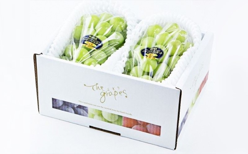 ぶどう 2026年 先行予約 シャインマスカット 晴王 2房 合計1.0kg以上  ブドウ 葡萄  岡山県産 国産 フルーツ 果物 ギフト