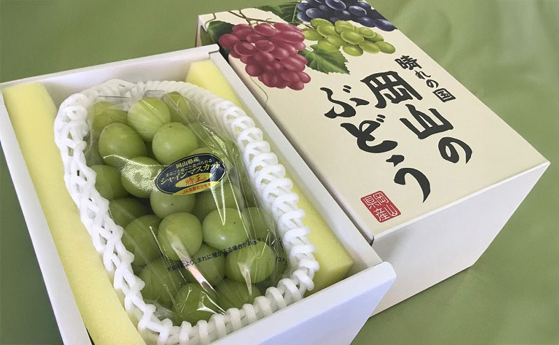 ぶどう 2026年 先行予約 シャインマスカット 晴王 1房 700g以上  ブドウ 葡萄  岡山県産 国産 フルーツ 果物 ギフト