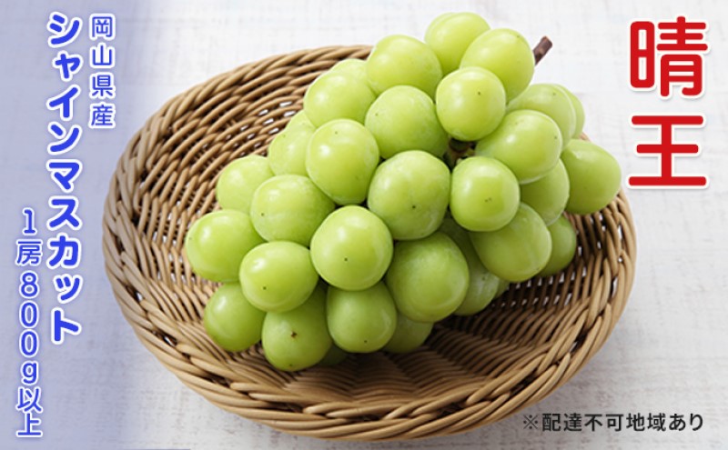 ぶどう 2026年 先行予約 シャインマスカット 晴王 1房 800g以上  ブドウ 葡萄  岡山県産 国産 フルーツ 果物 ギフト