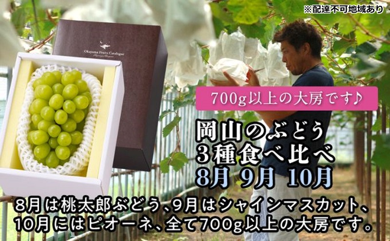【2026年度発送】岡山のぶどう 3種 食べ比べ 3回 お届け 定期便 （8月・9月・10月） ブドウ 葡萄 大房 岡山県産 国産 フルーツ 果物 贈り物 ギフト