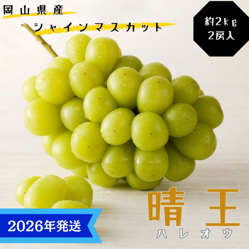 【2026年先行受付】 シャインマスカット 晴王 秀品 特大 約2kg 2房 岡山県産 ぶどう 葡萄 ブドウ ギフト 御礼 プレゼント 御礼 御祝 御供 果物 くだもの フルーツ