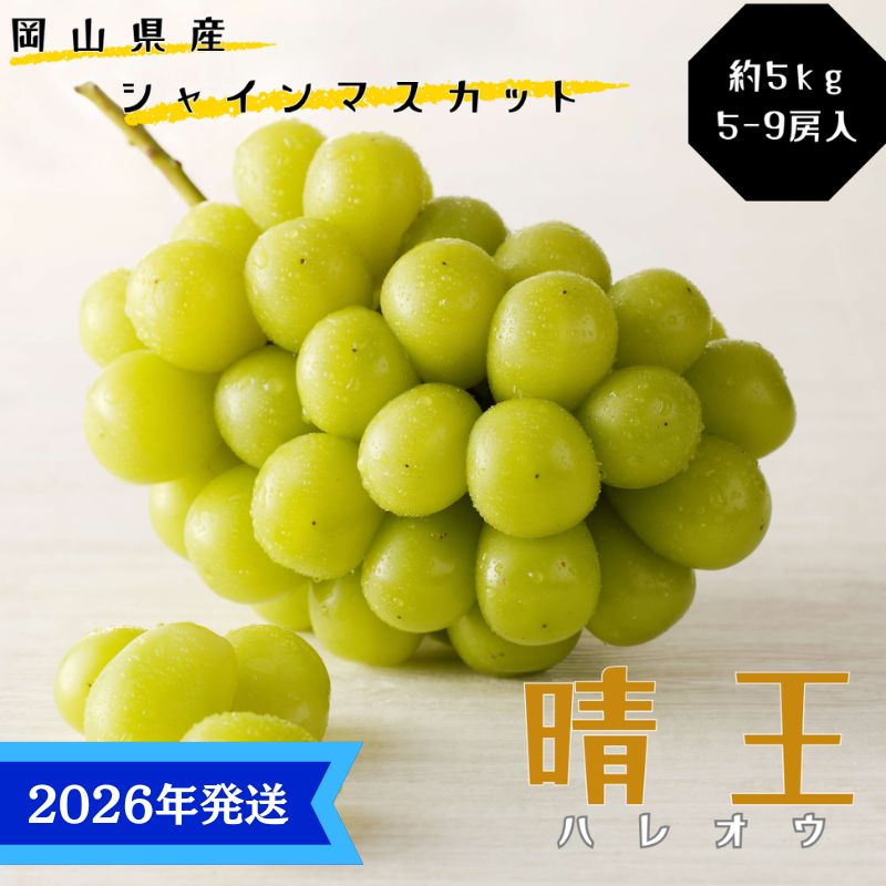 【2026年先行受付】 シャインマスカット 晴王 秀品 大房 約5kg(5～9房) 岡山県産 岡山県産 ぶどう 葡萄 ブドウ ギフト 御礼 プレゼント 御礼 御祝 御供 果物 くだもの フルーツ