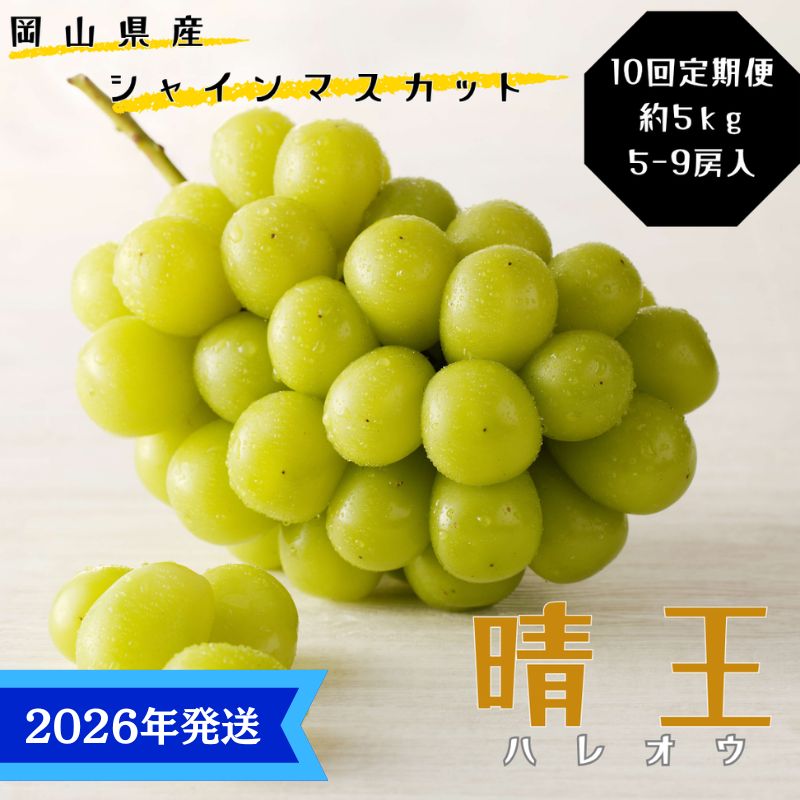 【2026年先行受付】 シャインマスカット 晴王 10回 定期便 秀品 大房 岡山県産 ぶどう ギフト 御礼 プレゼント 御礼 御祝 御供 果物 くだもの フルーツ