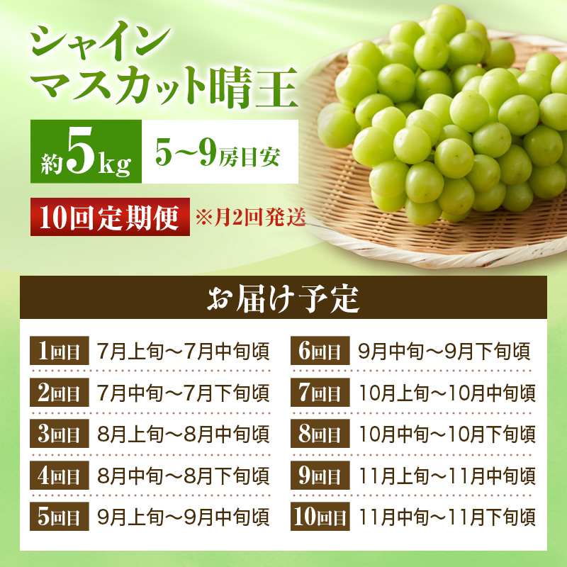 ã2026幎å
è¡åä»ã ã·ã£ã€ã³ãã¹ã«ãã æŽç 10å å®æäŸ¿ ç§å å€§æ¿ å²¡å±±çç£ ã¶ã©ã ã®ãã 埡瀌 ãã¬ãŒã³ã 埡瀌 åŸ¡ç¥ åŸ¡äŸ æç© ãã ãã® ãã«ãŒã