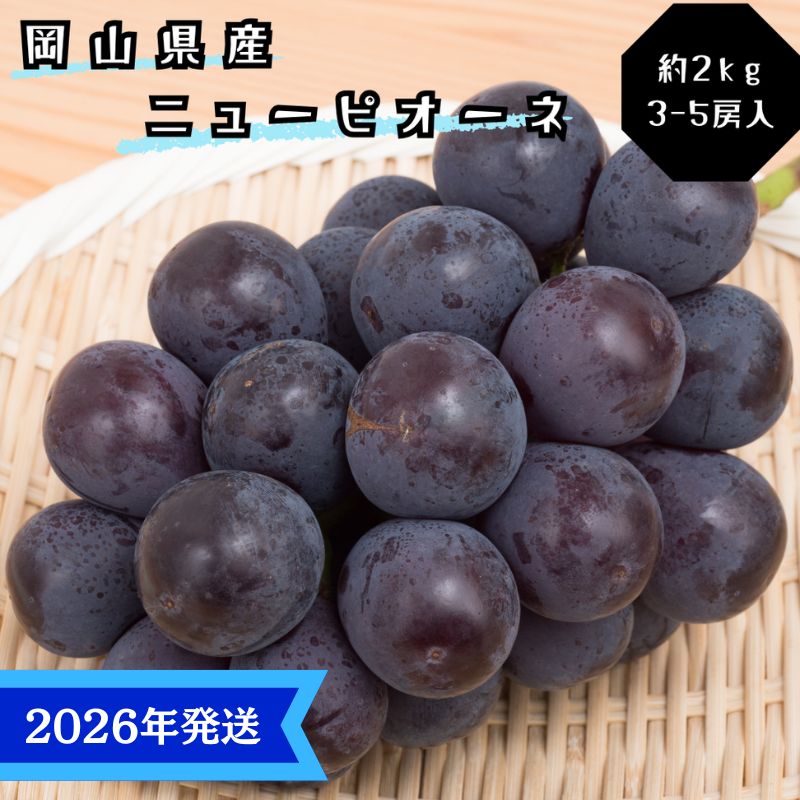 【2026年先行受付】 ぶどう ニューピオーネ 秀品 約2kg(3～5房) 岡山県産 ぶどう 葡萄 ブドウ ギフト 御礼 プレゼント 御礼 御祝 御供 果物 くだもの フルーツ