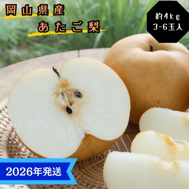 【2026年先行受付】 梨 あたご梨  秀品 約4kg(3～6玉) 岡山名産 日本一大きな梨 なし ナシ お歳暮 ギフト 御礼 プレゼント 御礼 御祝 御供 果物 くだもの フルーツ