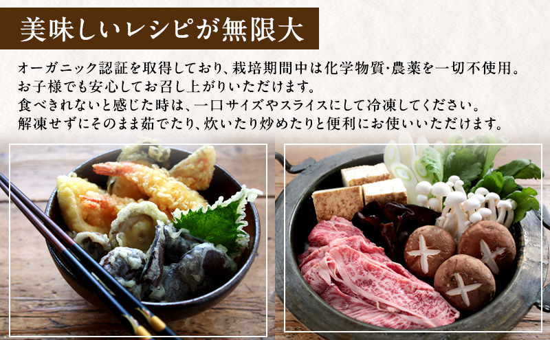 【 産地直送 】 有機JAS 生椎茸 800g ＆ 生きくらげ 200g 定期便 6ヶ月 オーガニック しいたけ 椎茸 きくらげ きのこ 野菜 岡山県 玉野市 栽培期間中化学肥料不使用 栽培期間中農薬不使用 野菜セット 