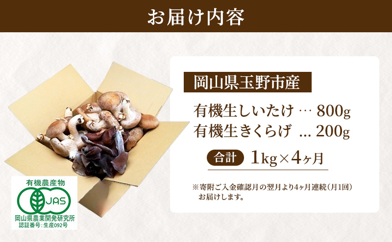 【 産地直送 】 有機JAS 生椎茸 800g ＆ 生きくらげ 200g 定期便 4ヶ月 オーガニック しいたけ 椎茸 きくらげ きのこ 野菜 岡山県 玉野市 栽培期間中化学肥料不使用 栽培期間中農薬不使用 野菜セット 