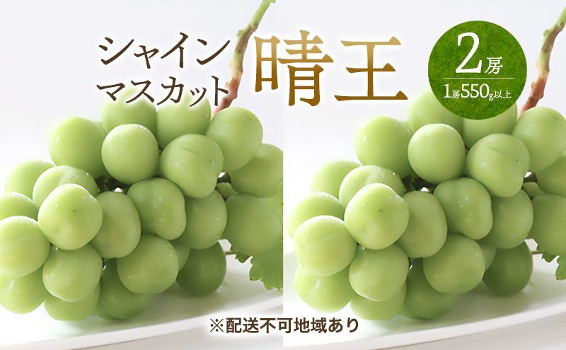 ぶどう 2026年 先行予約 シャイン マスカット 晴王  2房 （1房550g以上） マスカット ブドウ 葡萄  岡山県産 国産 フルーツ 果物 ギフト 桃茂実苑