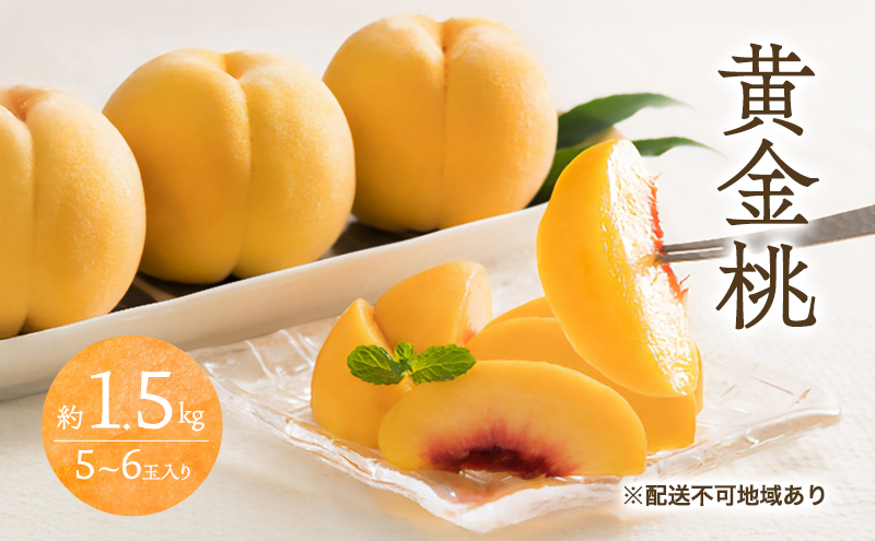 æ¡ 2026幎 å
è¡äºçŽ é»éæ¡ 1.5kg 5ïœ6ç ãã ã¢ã¢ 岡山 åœç£ ãã«ãŒã æç© ã®ãã æ¡èå®è