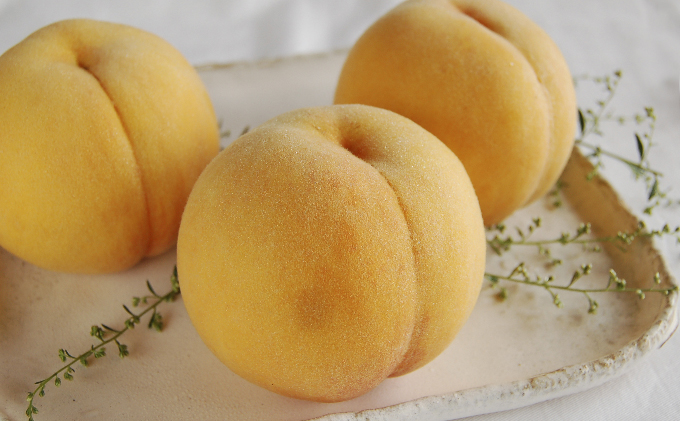 桃 2026年 先行予約 黄金桃 2kg 6～8玉 もも モモ 岡山 国産 フルーツ 果物 ギフト 桃茂実苑